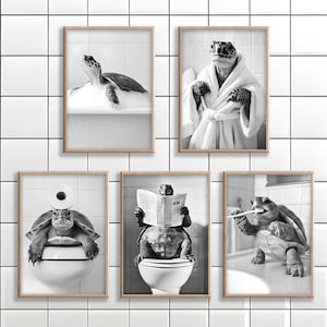 Könnte beinhalten: Satz von fünf Schwarzweißfotos mit Schildkröten in verschiedenen Badezimmer-Szenen. Eine Schildkröte badet, eine putzt sich die Zähne, eine liest Zeitung, eine sitzt auf der Toilette und eine trägt einen Bademantel.