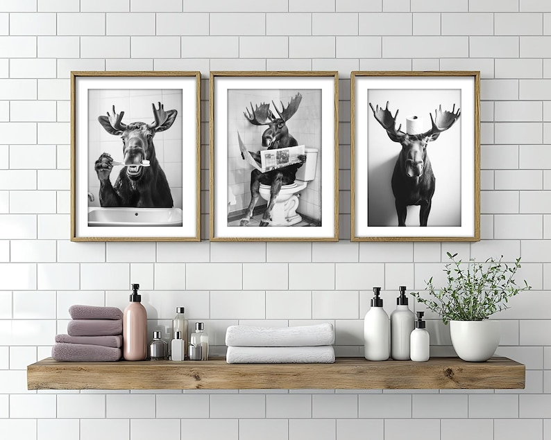 May include: Three black and white framed prints of moose. The moose in the left print is brushing its teeth, the moose in the center print is reading a newspaper while sitting on a toilet, and the moose in the right print is standing with its head tilted. The prints are hanging on a white tiled wall above a wooden shelf with bathroom supplies.