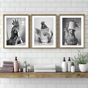 Chicken Wall Art, Poster or Canvas, Funny Bathroom Decor, Chicken Sitting on Toilet, Brushing Teeth & Paper on Head, Animal on Toilet Humor
