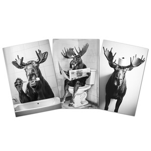 May include: Three black and white photos of a moose in different bathroom scenarios. The first photo shows a moose brushing its teeth in a bathroom. The second photo shows a moose sitting on a toilet reading a newspaper. The third photo shows a moose standing in a bathroom with a roll of toilet paper on its head.