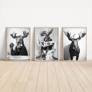 May include: Three black and white photos of moose. The first photo shows a moose with a toothbrush in its mouth. The second photo shows a moose sitting on a toilet with a newspaper in its hands. The third photo shows a moose with a roll of toilet paper on its head.
