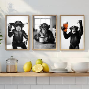 Op de afbeelding: Drie zwart-witfoto's van chimpansees in verschillende poses. De chimpansee op de linkerfoto houdt een glas wijn vast. De chimpansee op de middelste foto houdt een mok vast. De chimpansee op de rechterfoto houdt een glas bier vast.