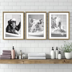 May include: Three black and white framed prints of animals taking a bath. The first print shows a chimpanzee in a bathtub, the second print shows a pig in a bathtub, and the third print shows a duck in a bathtub.