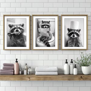 Arte murale con procione, poster o tela, divertente decorazione per il bagno, procione seduto sul water, lavarsi i denti e carta sulla testa, umorismo con animali sul water