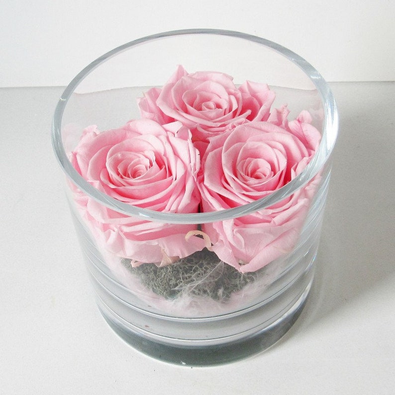 Eternal Roses Under Glass Genuine Preserved Natural Rose Gift Etsy