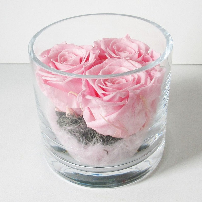 Eternal Roses Under Glass Genuine Preserved Natural Rose Gift Etsy