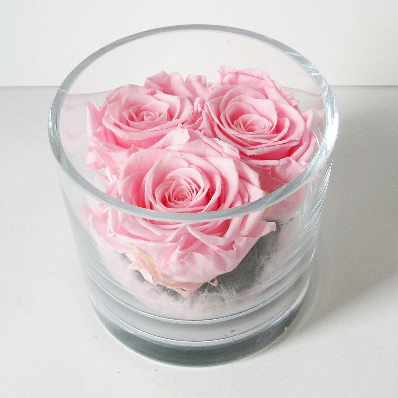 Eternal Roses Under Glass Genuine Preserved Natural Rose Gift Etsy
