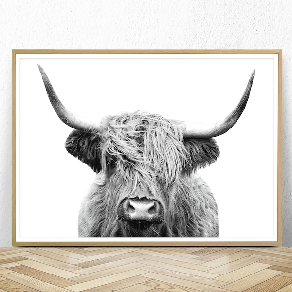 Highland Cow Photography, Highland Cow Print,Bedroom Prints,Bison Print,Farm Print, Wall Decor,Printable Poster,Buffalo Print,Bull Wall Art