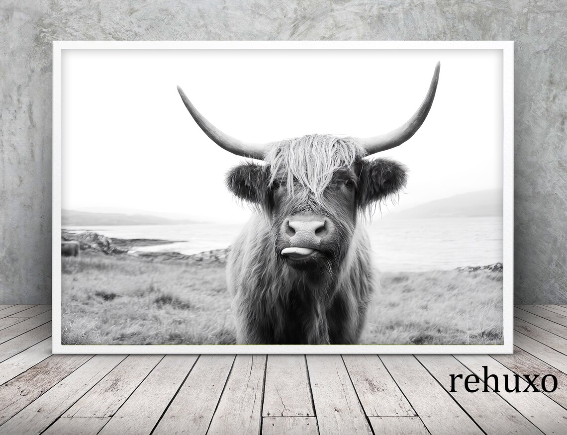 Highland Cow Print Black and White Print Large Wall Art Etsy