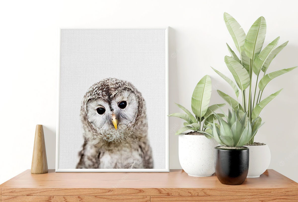 Baby Owl Print Nursery Wall Art Baby Owl Art Nursery Art Etsy