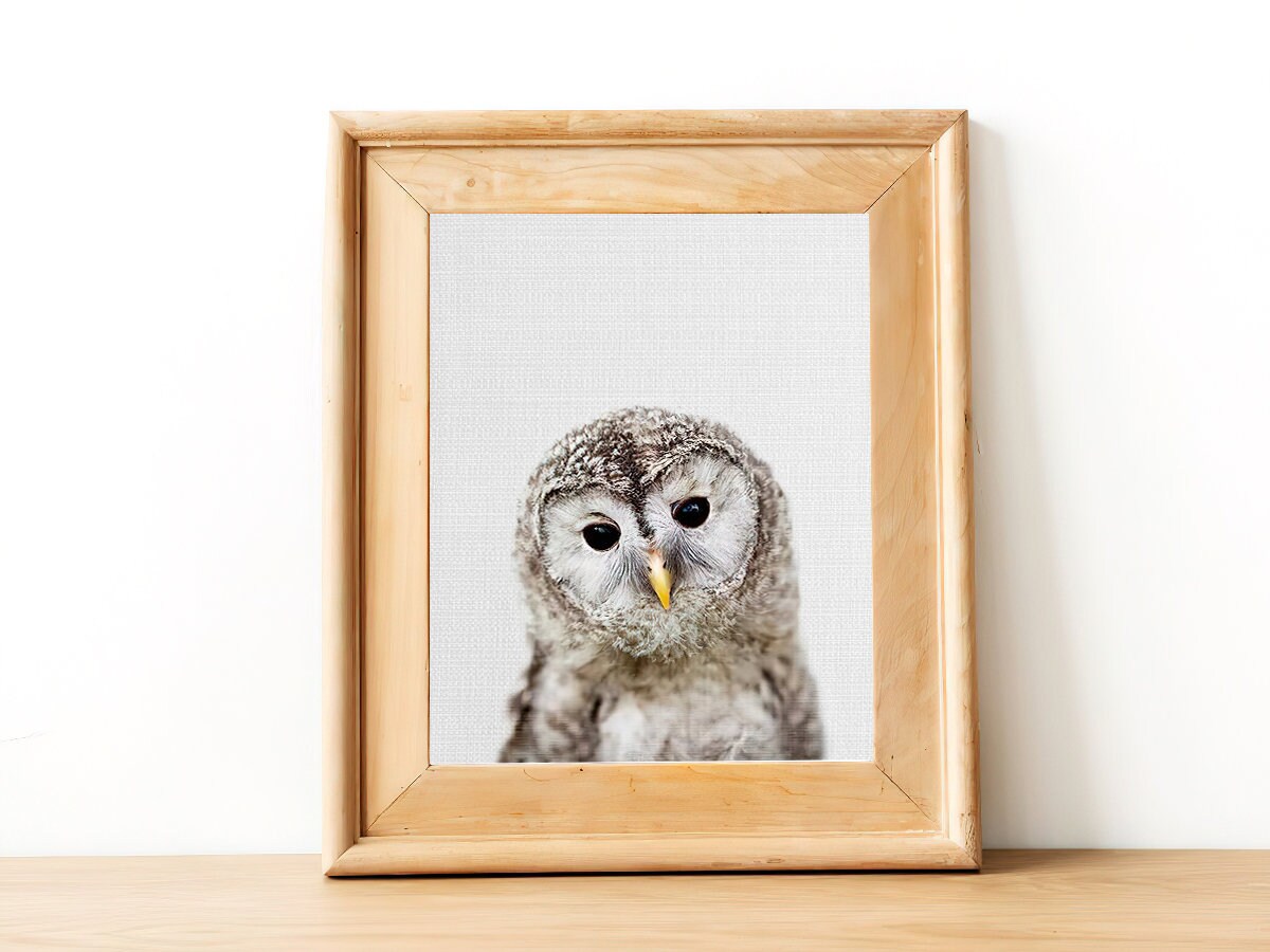 Baby Owl Print Nursery Wall Art Baby Owl Art Nursery Art Etsy
