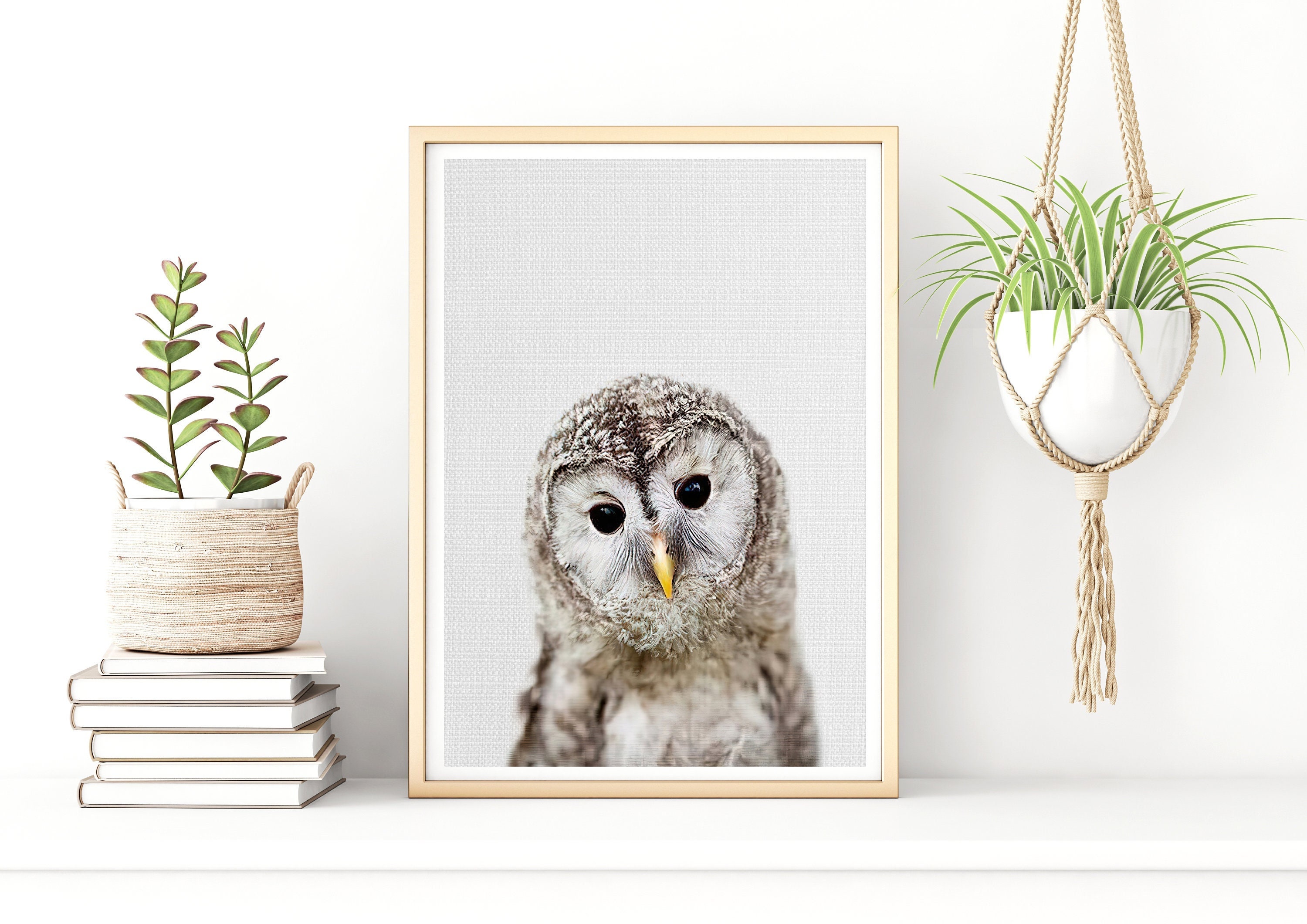 Baby Owl Print Nursery Wall Art Baby Owl Art Nursery Art Etsy