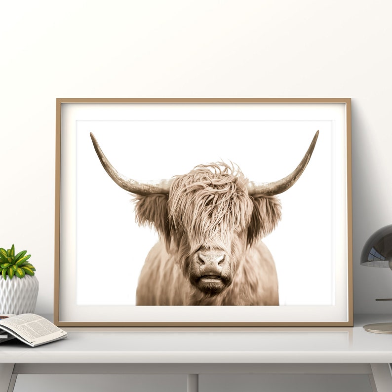 Buffalo Print Highland Cow Print Bull Print Cattle Print | Etsy