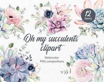 Download Succulent Png Etsy