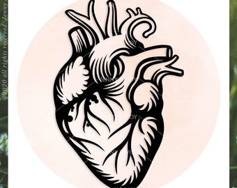 Anatomical Heart Svg Etsy