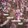 PREORDER !!! Yarn Advent Calendar 2022 , Gift For A Knitter , Christmas gift product logo