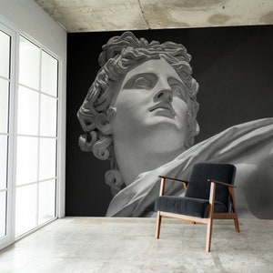 Antique sculpture wall mural, peel and stick wallpaper, Renaissance Wall Mural, vintage style home decor #272