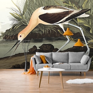American avocet wallpaper mural, peel and stick, vintage removable wallpaper, bird print wall mural, retro style wall decor #260