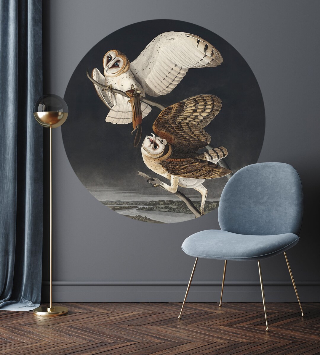 Circle Wall Decal, Owls on Dark Background, Vintage Wall Decor, Self ...