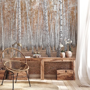 Birch tree forest wallpaper mural, peel and stick photo wallpaper, vintage removable wallpaper, self adhesive wallpaper, home decor #308