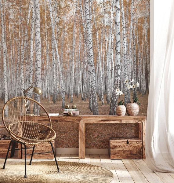 Birch Tree Forest Wallpaper Mural Peel and Stick Photo - Etsy UK Birch Tree Forest Wallpaper Mural Peel and Stick Photo - Etsy UK