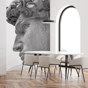 Michelangelo&#39;s David wall mural, peel and stick wallpaper, renaissance wallpaper, wall art, vintage wall mural, home decor #271