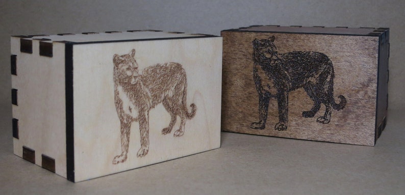 Mountain Lion Box Engraved Spirit Animal Totem Animal Power Etsy