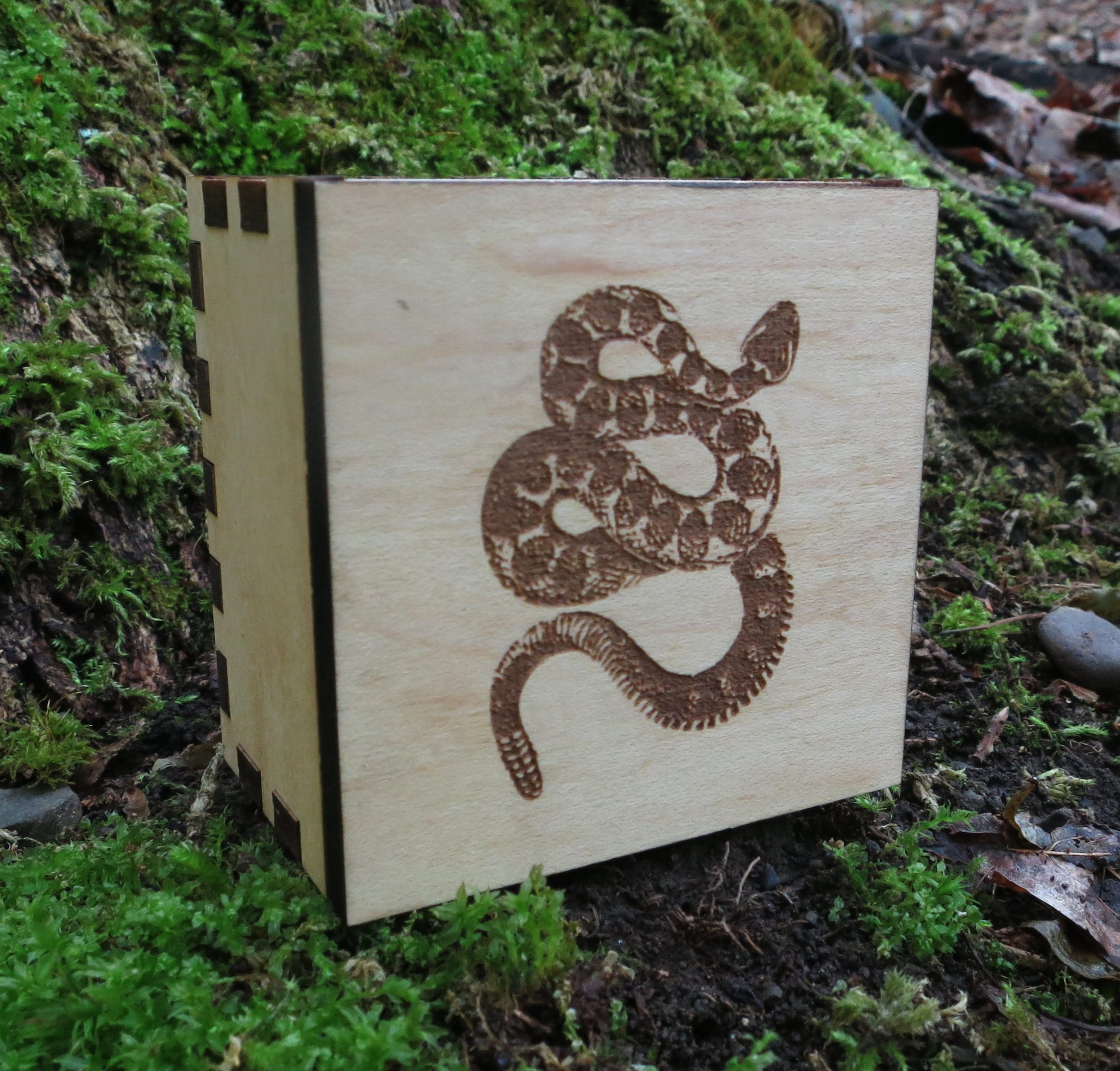 Snake Box Engraved, Spirit Animal, Totem Animal, Power Animal, Snake ...