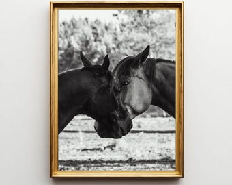 Impresión de caballo en blanco y negro: arte moderno de pared equino, fotografía animal enmarcada