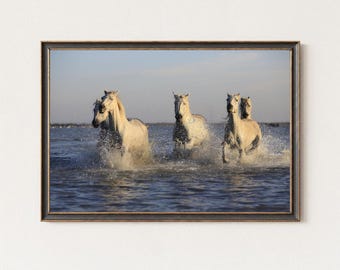 White Horses Running in Water Digital Download, Equine Printable Wall Art, Nature Photography Poster