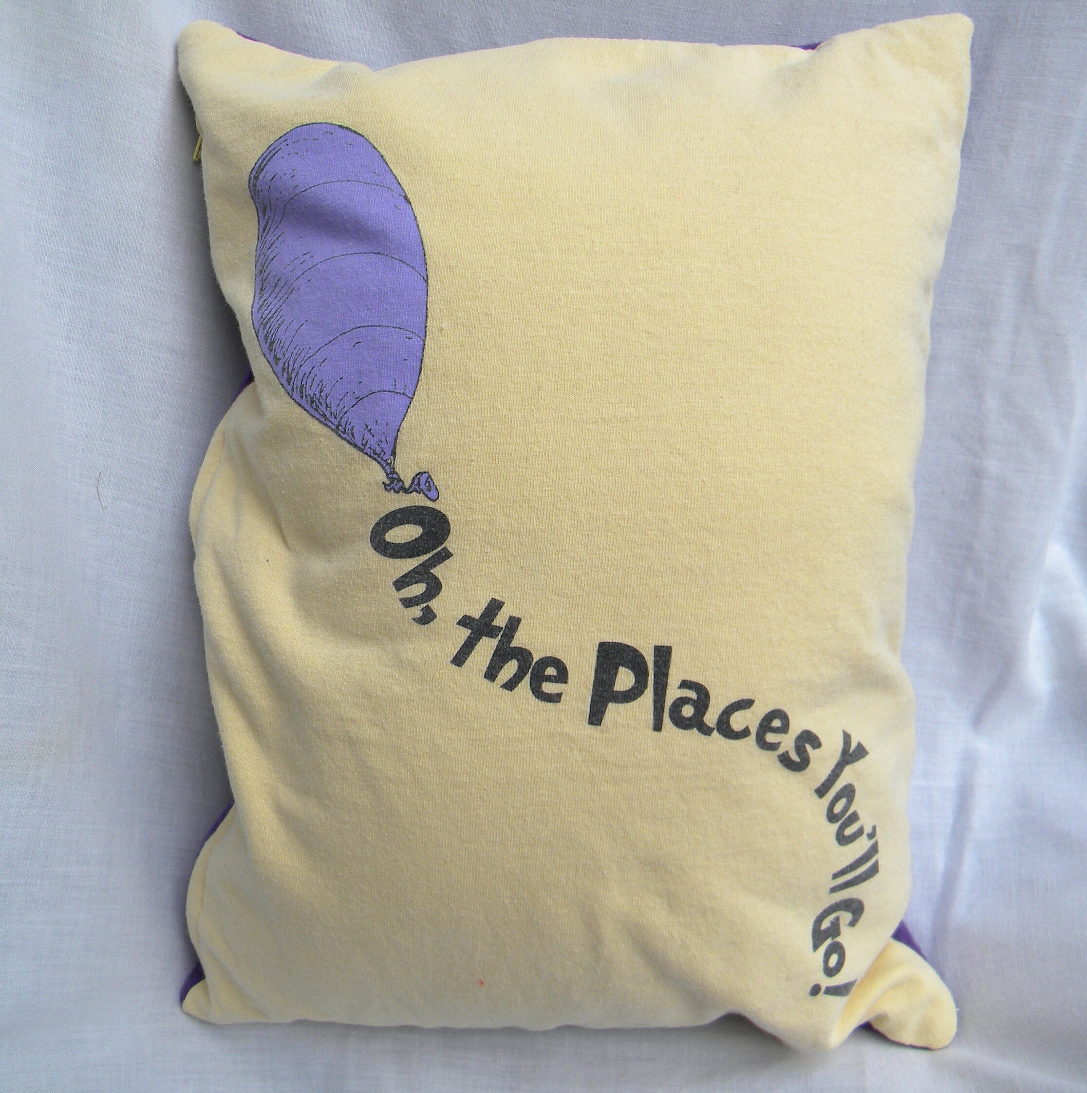 Dr Seuss Pillow Etsy