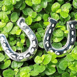 Lucky horseshoe earrings, fine silver stud earrings in gift box