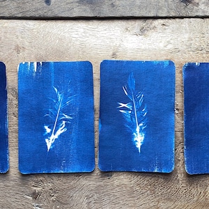 Collection de plumes cyanotype Cairngorm