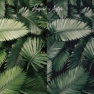 Bali Film LUTs Video Editing and Lightroom Presets Pack, Travel Instagram Photoshop Presets, Tropic Color Grading LUTs IG LR Presets Mobile, Image 6