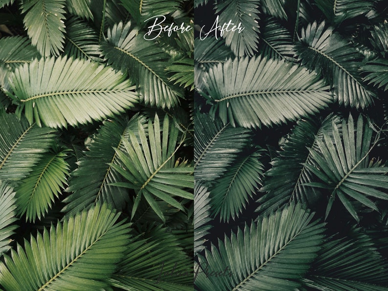 Bali Film LUTs Video Editing and Lightroom Presets Pack, Travel Instagram Photoshop Presets, Tropic Color Grading LUTs IG LR Presets Mobile, Image 6