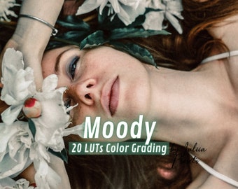20 Premiere Pro Presets MOODY & Dark Green Film LUT for DaVinci Resolve, Wedding Video LUTs Pack and Warm Affinity LUTs for Video Editing
