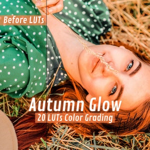 20 Fall Video Editing LUTs, Cinematic LUT Pack for Premiere, DaVinci Resolve, Final Cut Pro - Ideal for Autumn and Wedding Videos