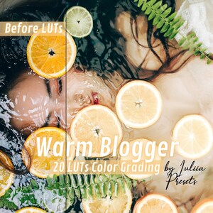 20 Premiere Pro-presets Video-LUT&#39;s WARM Blogger, Photoshop-presets en Premium LUT&#39;s, film-LUT voor Adobe Premiere Pro LUT&#39;s, Warm Beauty-LUT