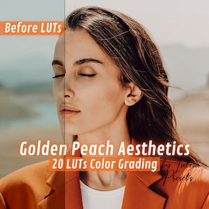 20 Golden Peach Aesthetics LUTs Pack, Filmische Farbabstufungsvorgaben für Davinci Relösung, Premiere, FCPX, Sommerkollektion Videobearbeitung