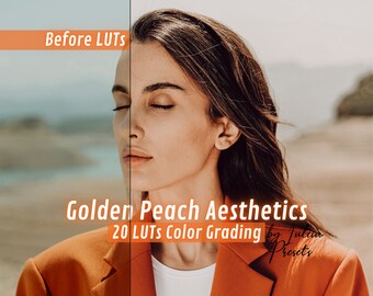 20 Golden Peach Aesthetics LUTs Pack, Cinematic Color Grading Presets for Davinci Resolve, Premiere, FCPX, Summer Collection Video Editing