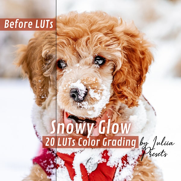 20 Snowy Glow Premiere Pro LUTs, Winter Final Cut Pro Video Filters, Color Grading Davinci Resolve LUTs, Video LUTS Pack, Cinematic LUTs