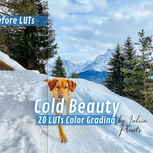 20 Cold Beauty Winter LUTs Pack, Bright Color Grading Presets for Premiere & FCPX, Perfect Video Editing for Holiday Cinematic Films