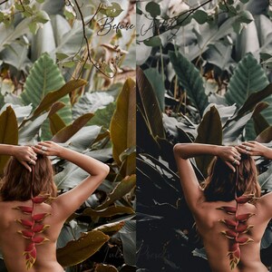 Bali Film LUTs Video Editing and Lightroom Presets Pack, Travel Instagram Photoshop Presets, Tropic Color Grading LUTs IG LR Presets Mobile, Image 8