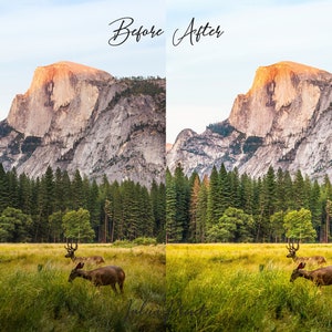 20 LANDSCAPE LUT Pack for Final Cut Pro, Affinity LUTs Premiere, Video Presets for Premiere Pro LUTs, Video Editing and Film LUT Cinematic, Image 6