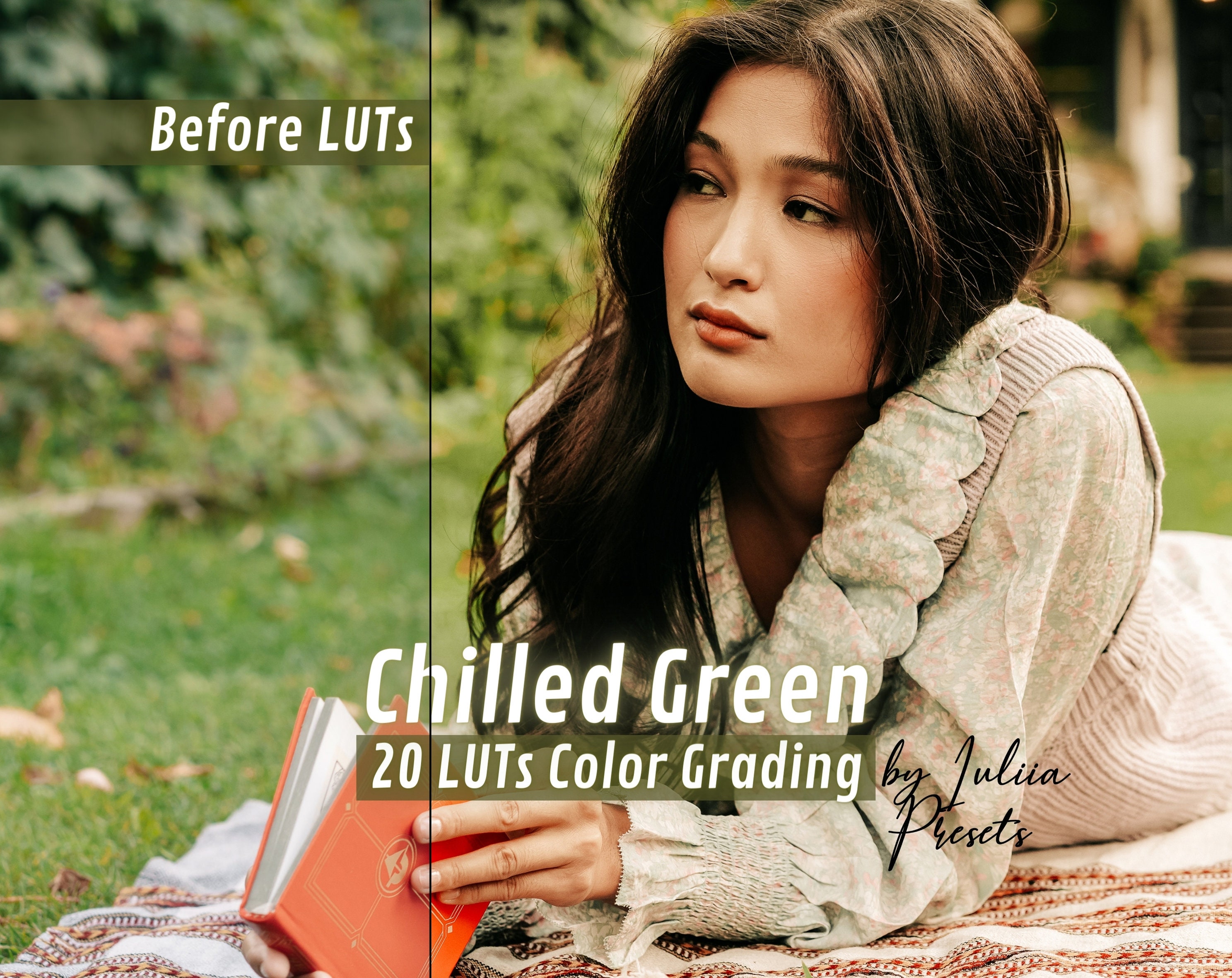 20 Cinematic LUTs Pack for Davinci Resolve & Final Cut Pro - Travel and Nature Video Color Grading Presets, LUTs for Adobe Premiere and FCPX
