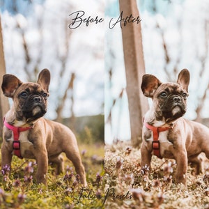 20 Summer LUTs COCONUT, Adobe Premiere Pro LUTs Pack, Video Editing Cinematic Luts Final Cut Pro, Summer Video Presets for DaVinci Resolve, Image 8