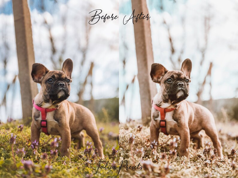20 Summer LUTs COCONUT, Adobe Premiere Pro LUTs Pack, Video Editing Cinematic Luts Final Cut Pro, Summer Video Presets for DaVinci Resolve, Image 8