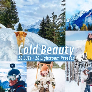 Winter Video LUTs Color Grading COLD BEAUTY Video Photo Presets Lightroom, Outdoor Video Editing Final Cut Pro Premiere LUTs Davinci Resolve