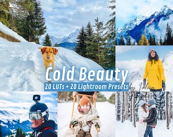 Vintervideo-LUT:er Färggradering KALL SKÖNHET Video Fotoförinställningar Lightroom, Utomhusvideoredigering Final Cut Pro Premiere LUT:er Davinci Resolve