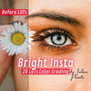 20 LUTs After Effect BRIGHT INSTA, Reels Video LUTs for Instagram, Premiere Pro LUT and Photoshop Affinity Photo Presets, Final Cut Pro LUTs